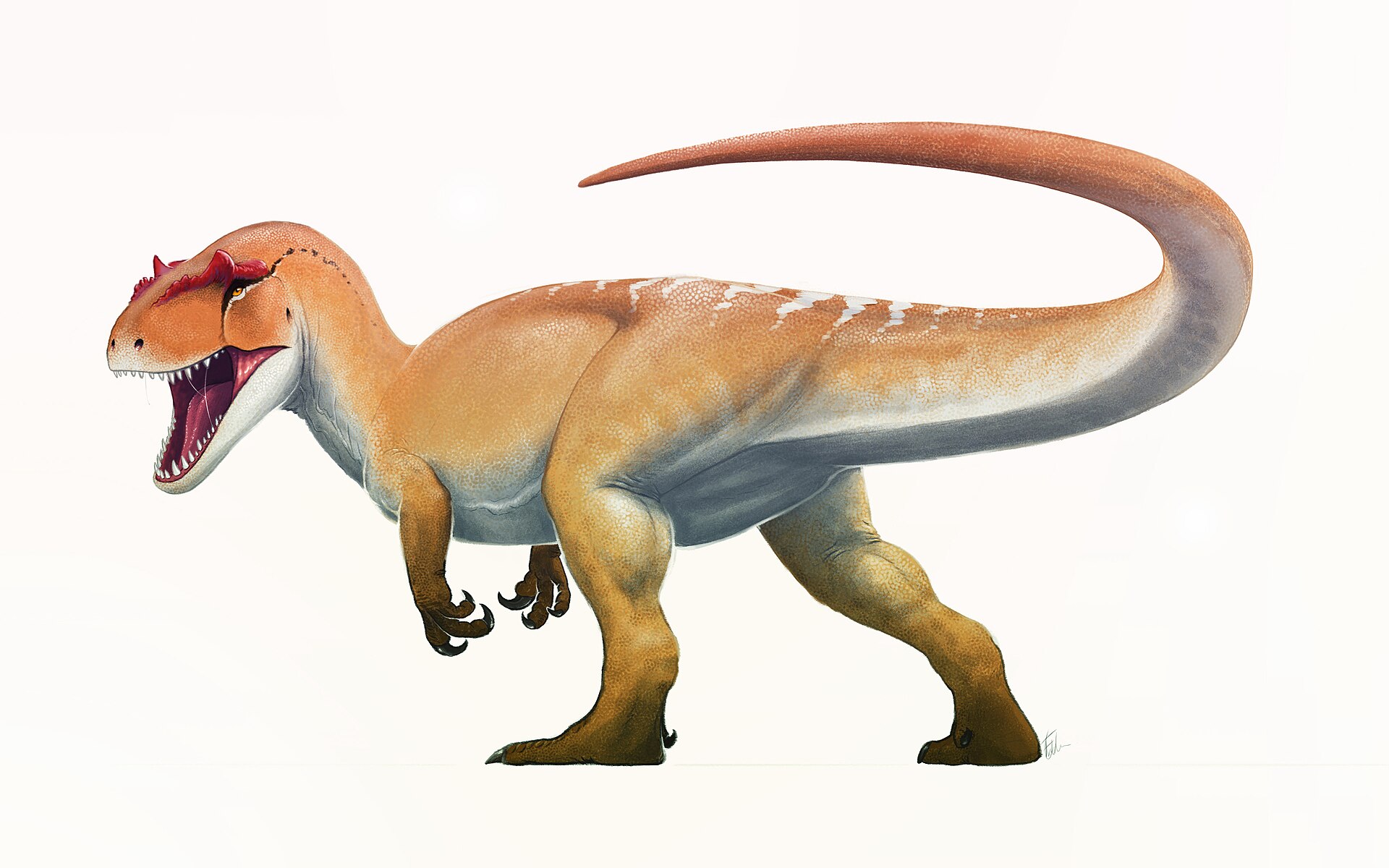 Life restoration of Allosaurus fragilis standing alert on a Late Jurassic floodplain