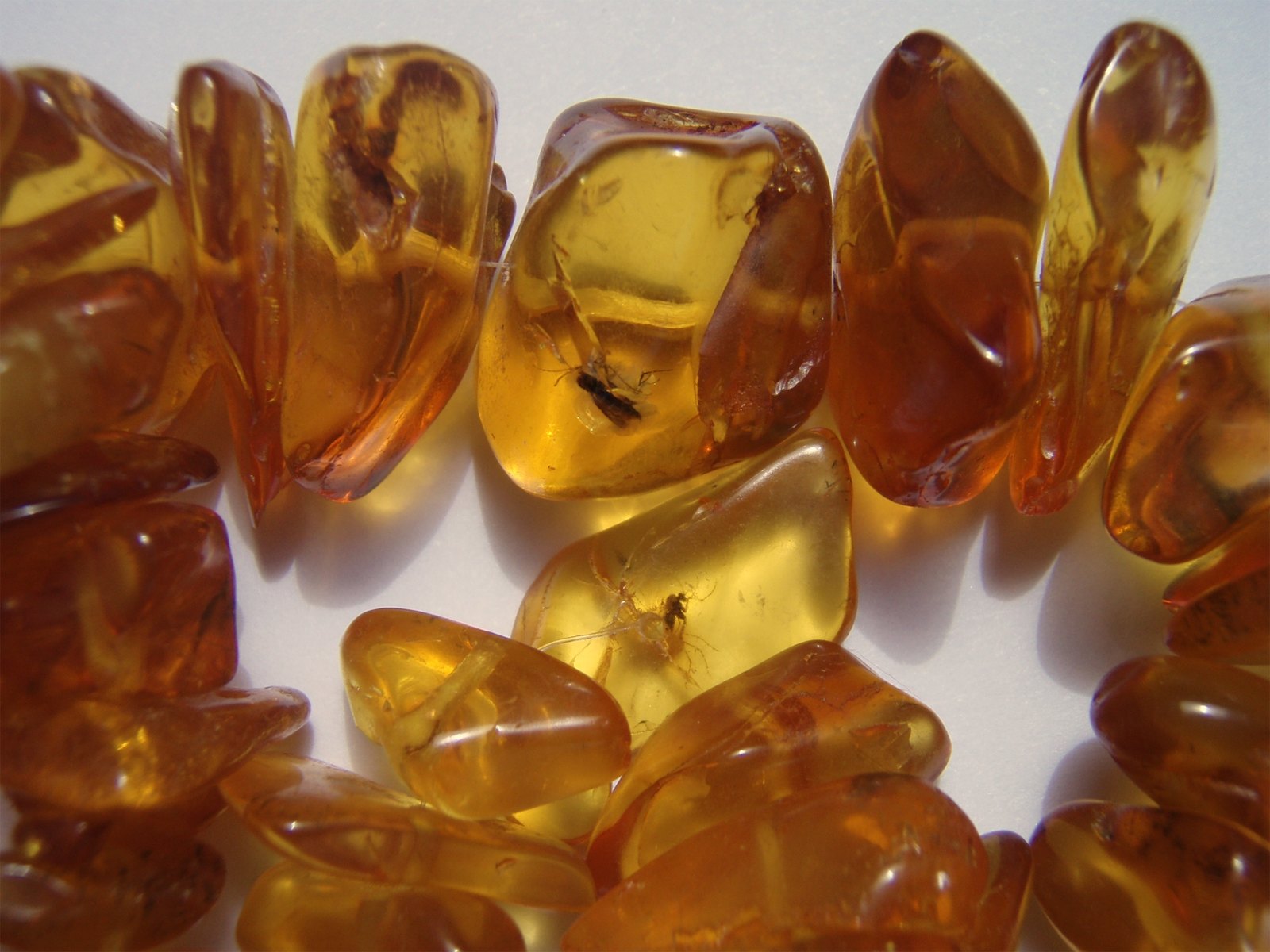 Golden Baltic amber nodule containing several insects preserved for around 45 million years