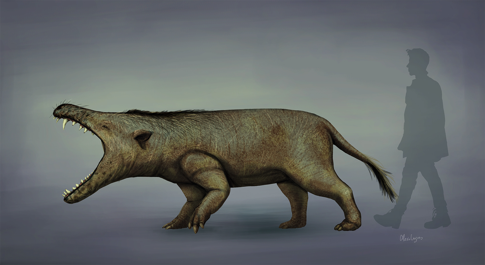 Life restoration of the Andrewsarchus head showing an elongated snout and heavy jaw