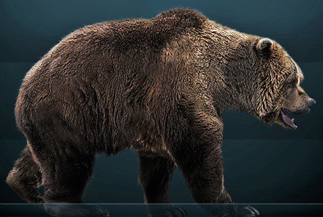 Life restoration of a walking cave bear with thick brown fur and heavy shoulders