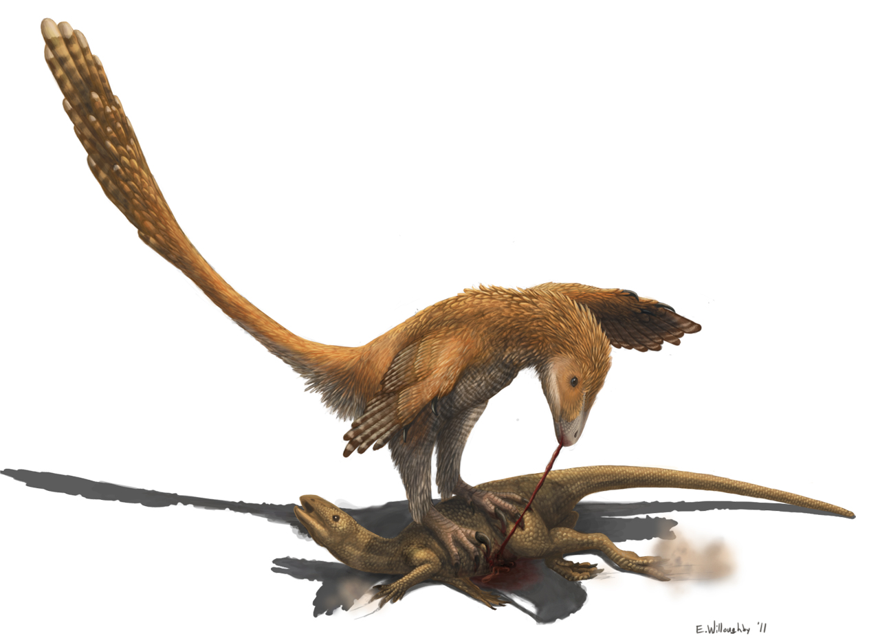 Life restoration of two Deinonychus closing in on a Tenontosaurus in Early Cretaceous Montana