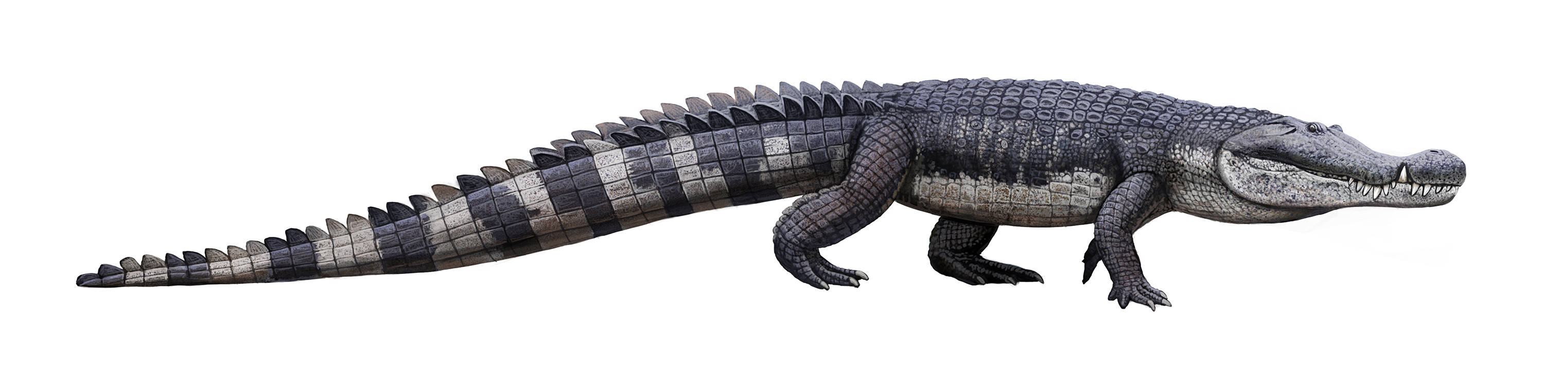 Deinosuchus life restoration