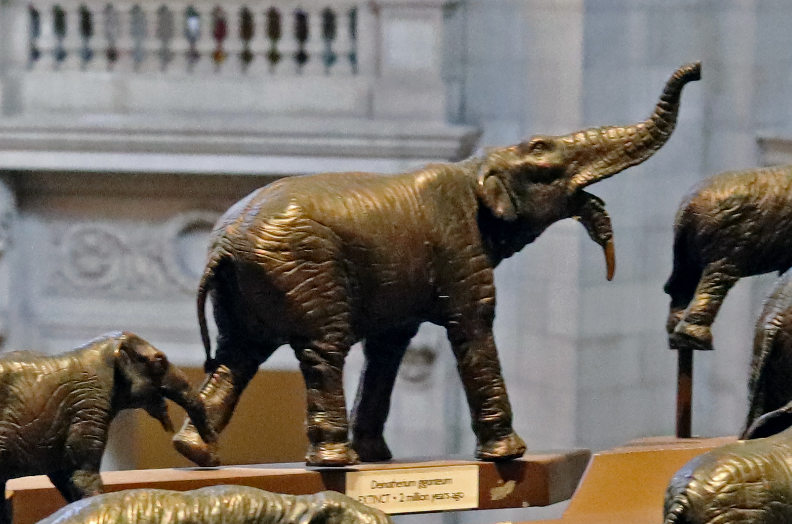 Museum life restoration of Deinotherium giganteum with its trunk raised and lower tusks curving down