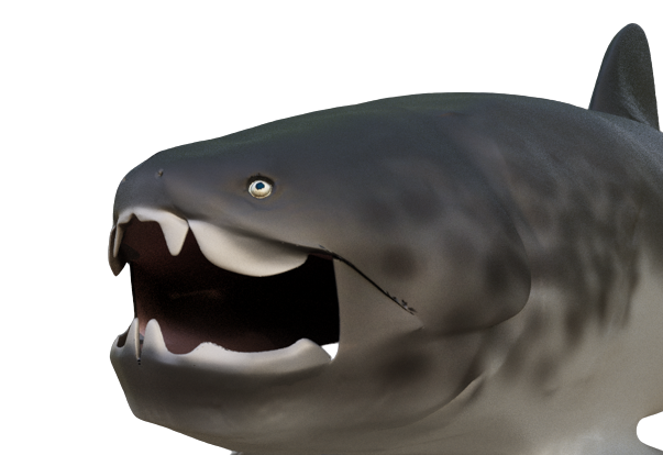 Life reconstruction of Dunkleosteus marsaisi swimming through Devonian waters with open jaws