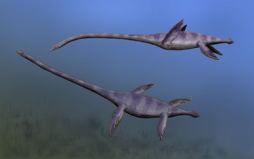 Elasmosaurus long-necked marine reptile