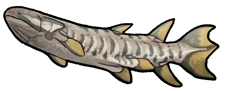Life restoration of Eusthenopteron foordi showing its lobed side fins and three-lobed tail