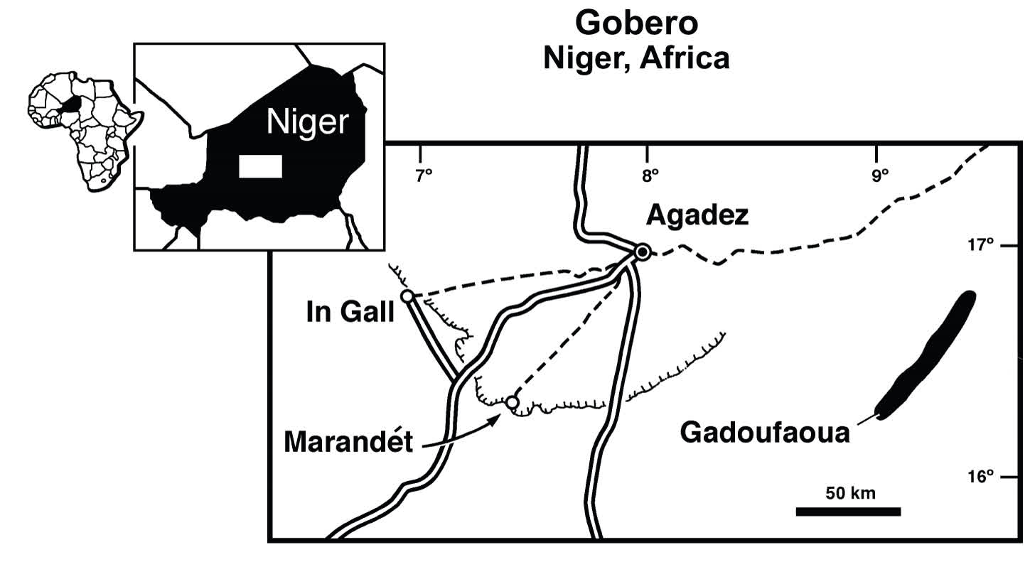 Map of the Gadoufaoua fossil site in the Ténéré Desert of Niger