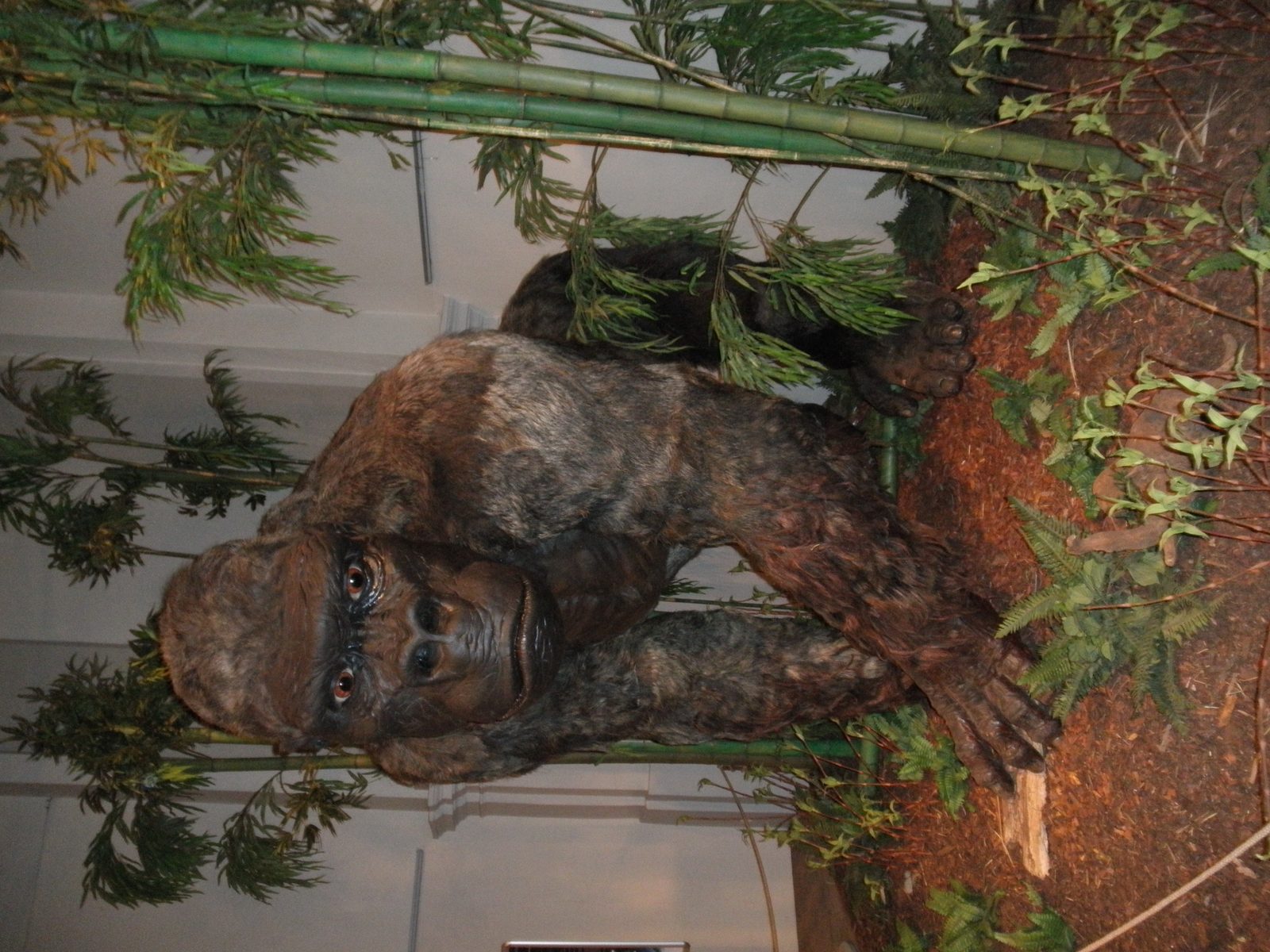 Life restoration of Gigantopithecus blacki, the largest ape that ever lived, walking through a Pleistocene forest
