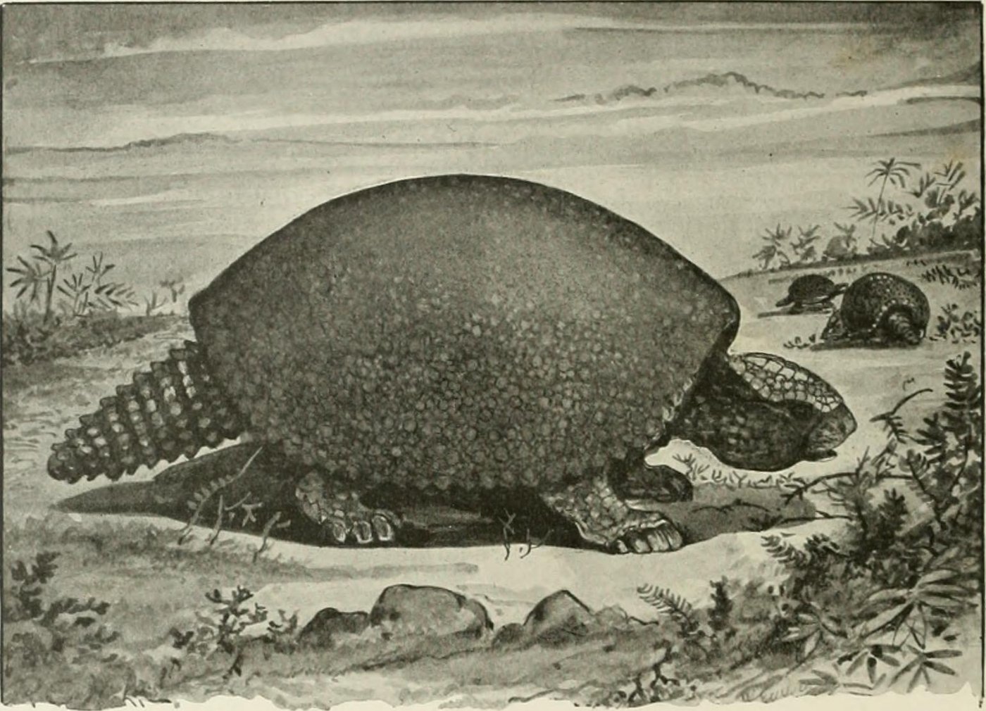 Life restoration of Glyptodon, a dome-shelled giant armadillo relative walking through Pleistocene grassland