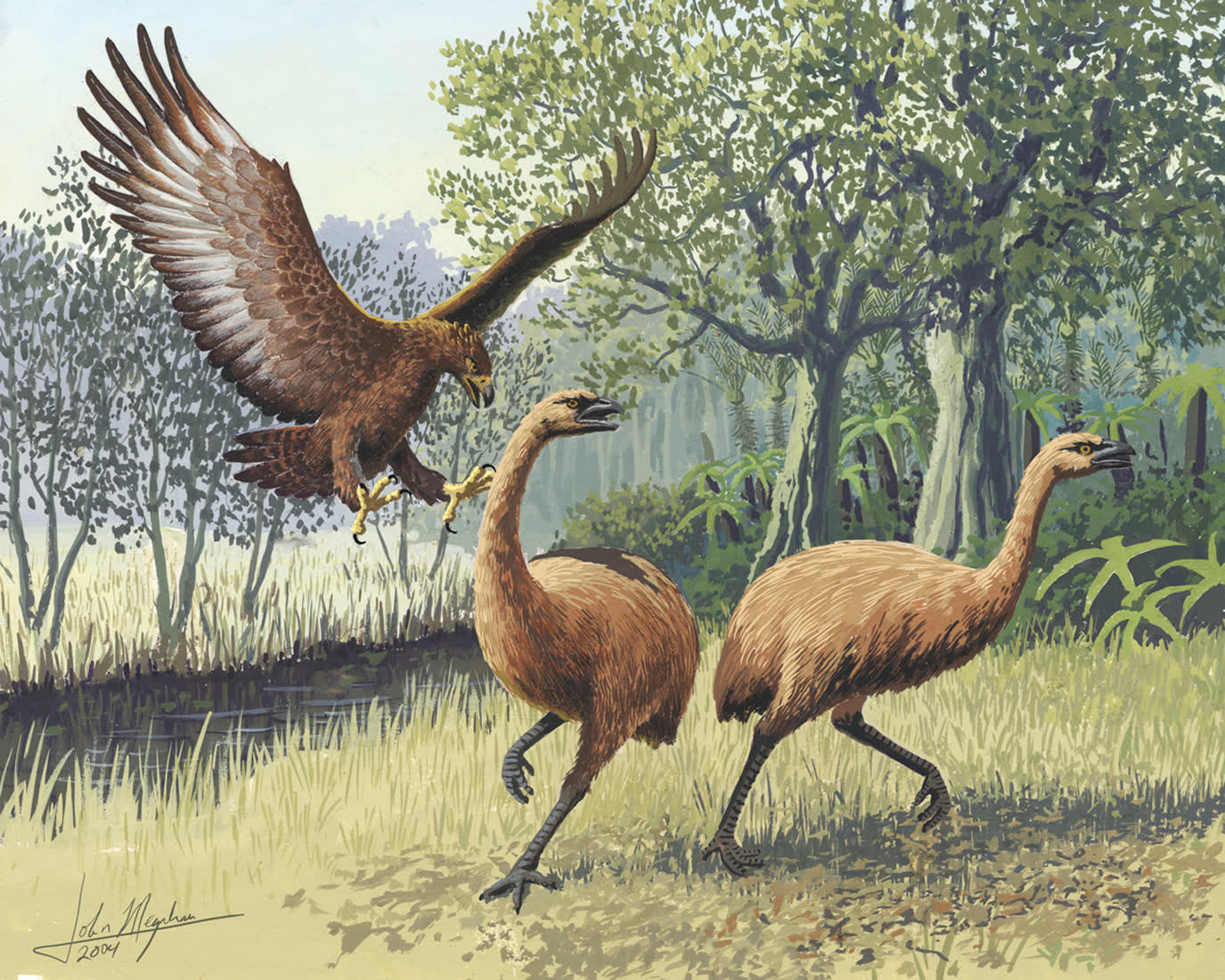 Life restoration of a Haast's eagle gripping a fleeing moa in its talons