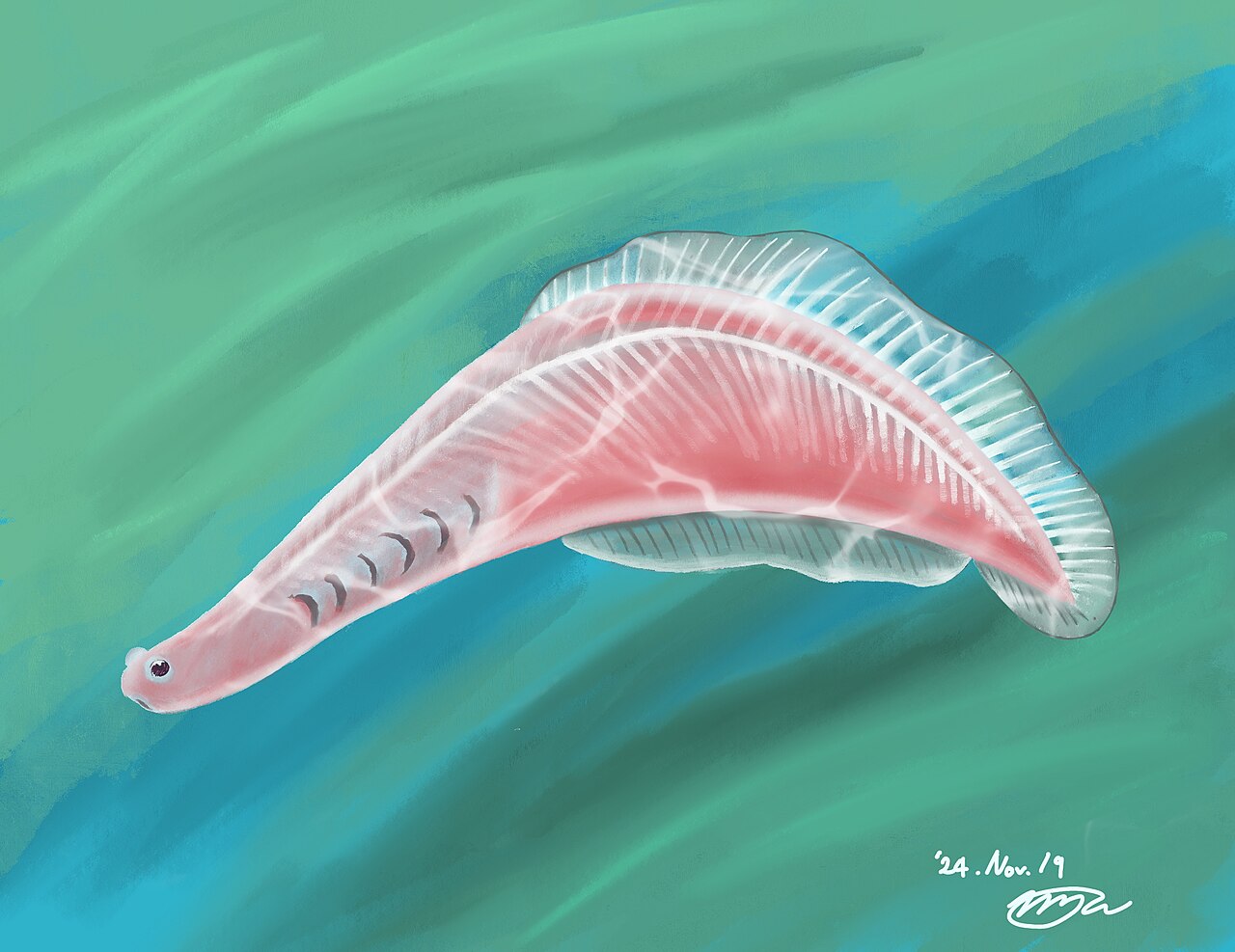 Life restoration of Haikouichthys, the earliest known fish, swimming above the Cambrian seafloor