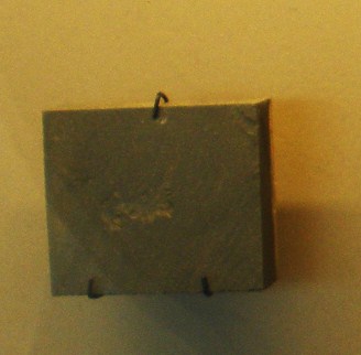 Hallucigenia fossil specimen