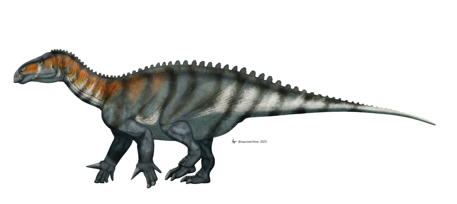 Life restoration of Iguanodon walking on all fours through Early Cretaceous ferns