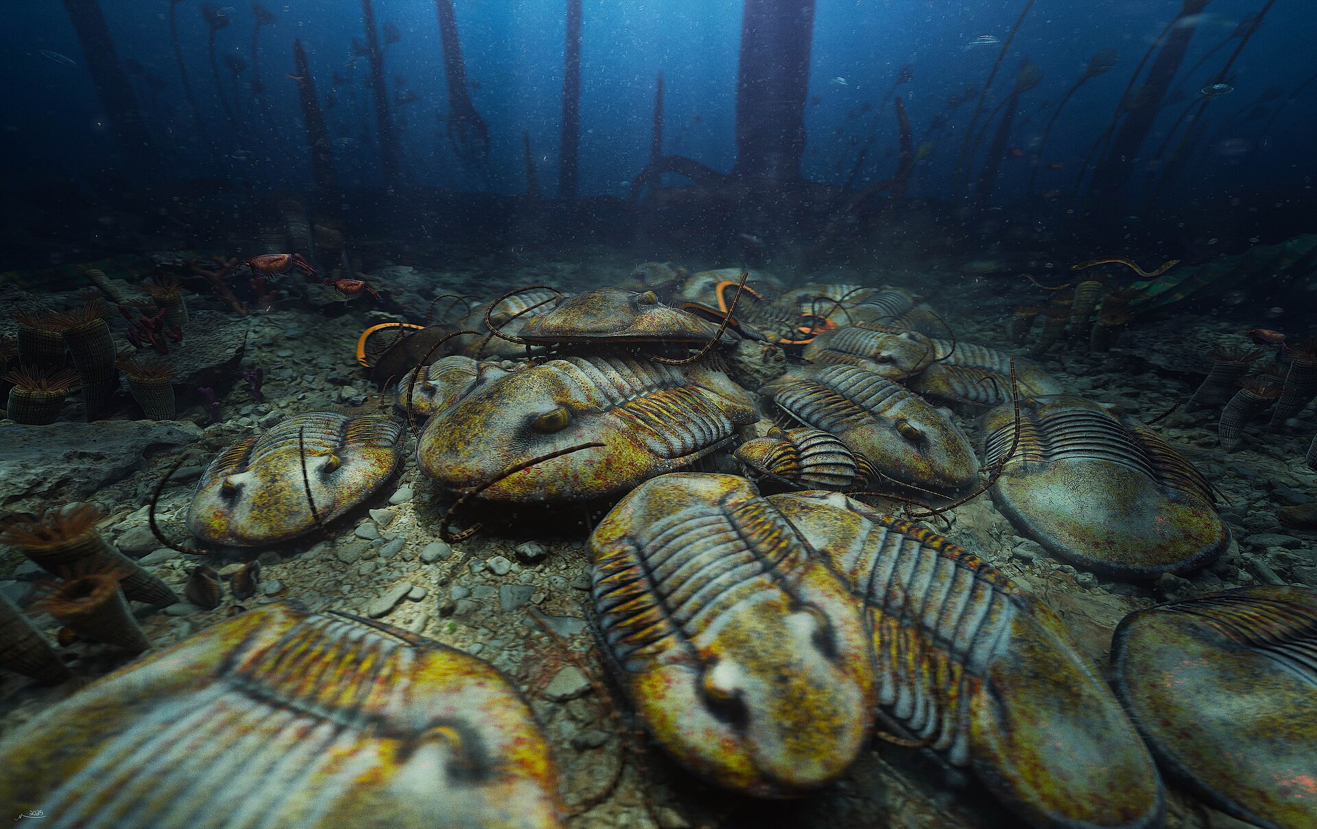 Reconstruction of a gathering of Isotelus trilobites resting on the Ordovician seabed