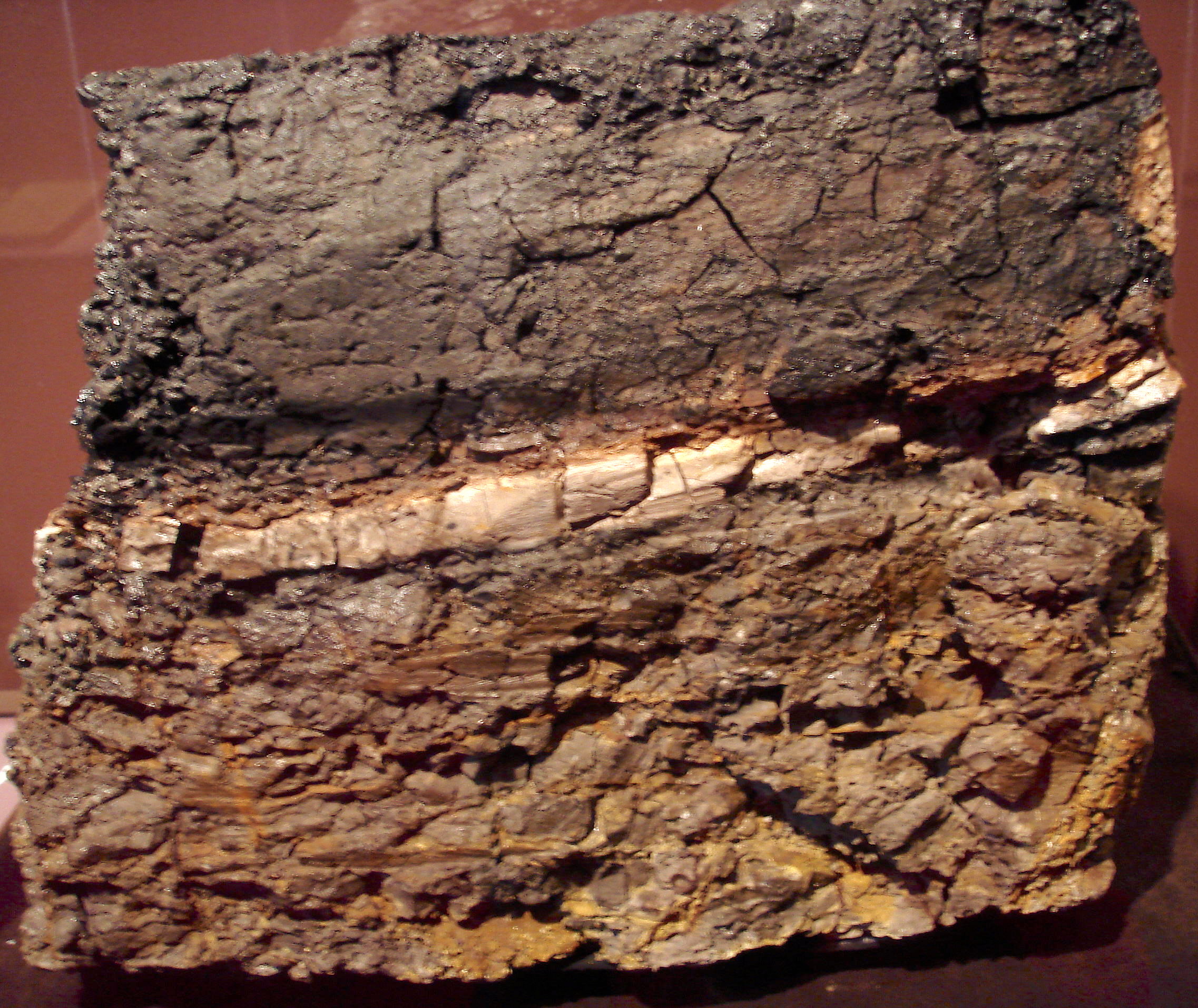 The K-Pg boundary layer, a thin iridium-rich clay layer marking the end of the Cretaceous period