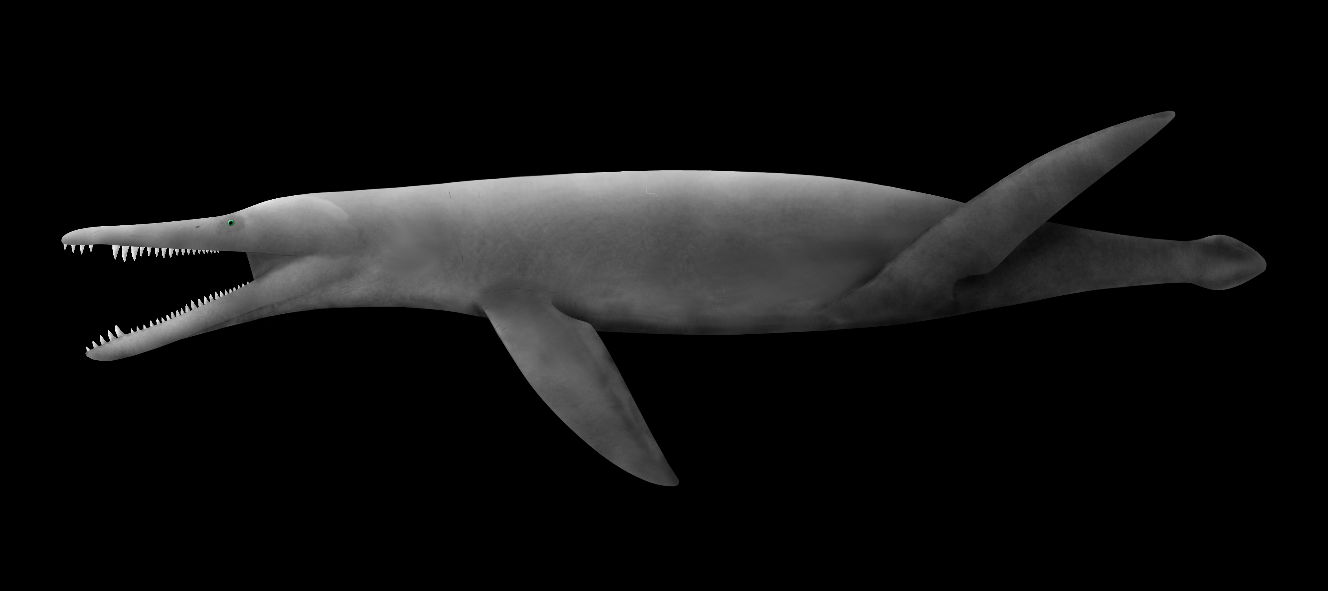 Anatomical restoration of Kronosaurus showing paddle limbs and massive skull