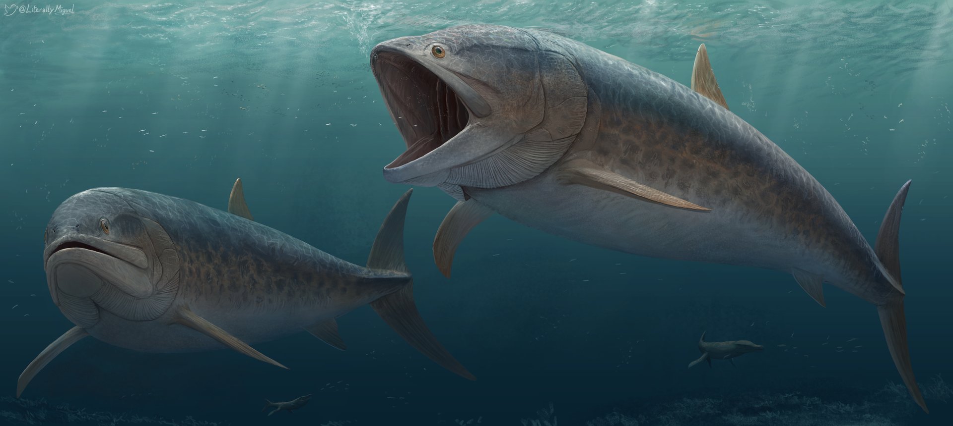 Life restoration of Leedsichthys, the giant Jurassic filter-feeding fish, swimming with sharks