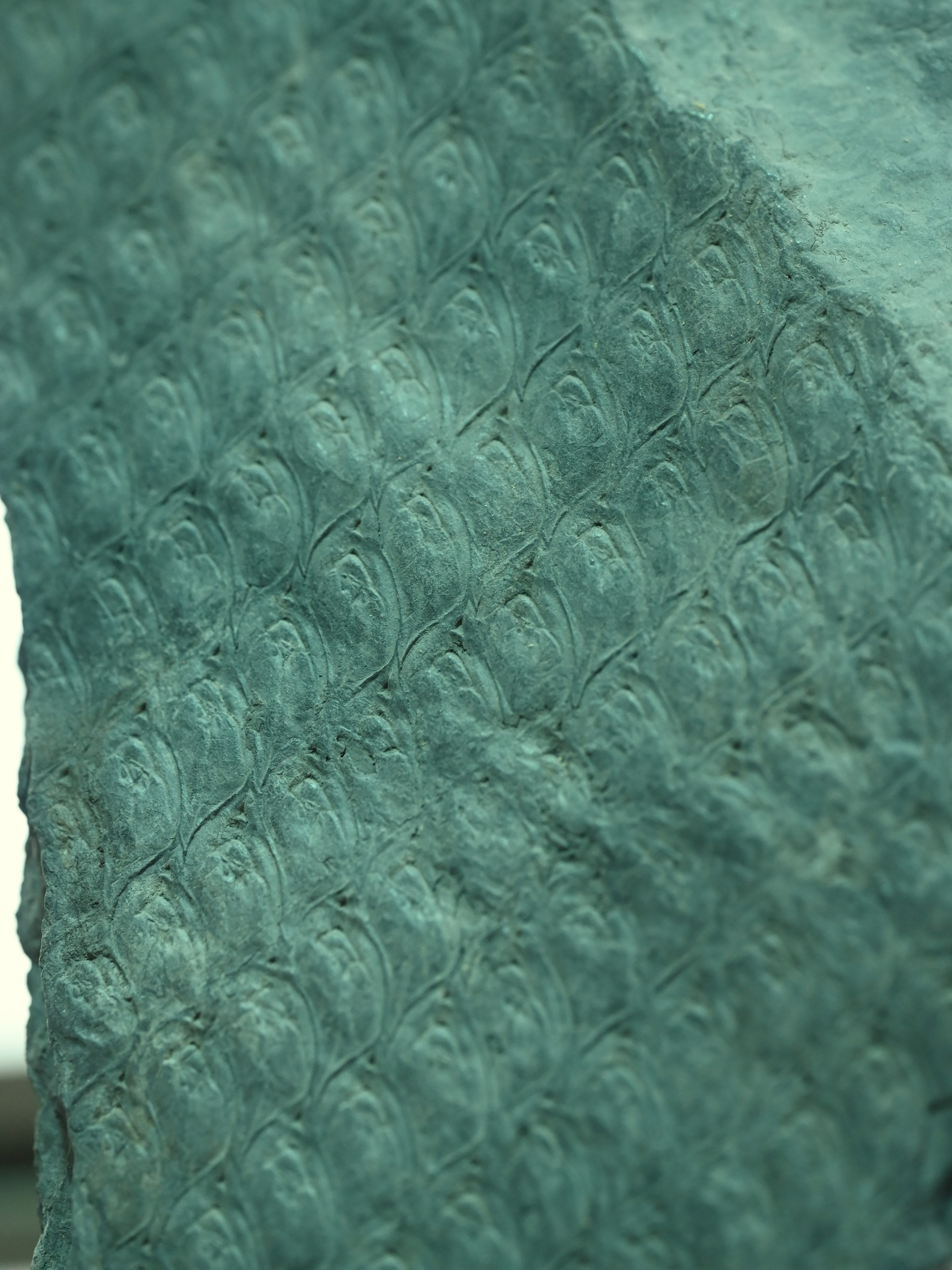 Fossilized Lepidodendron bark showing characteristic diamond-shaped leaf scars