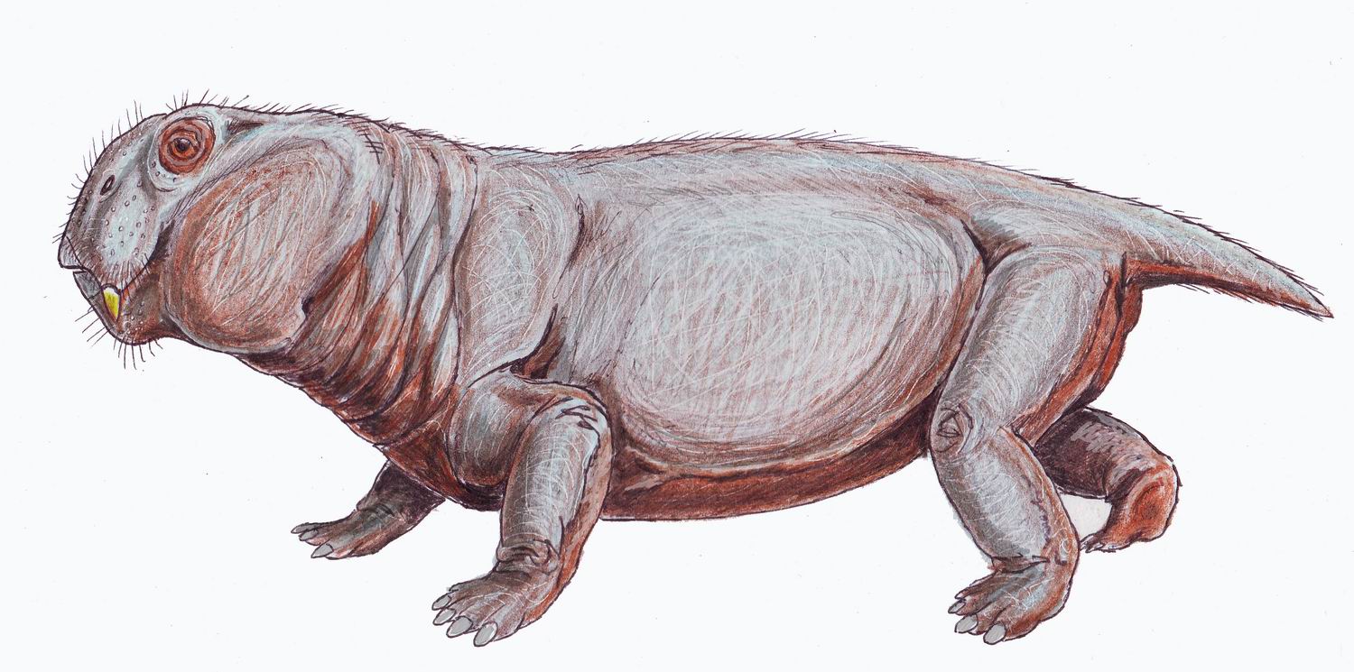 Artistic restoration of Lystrosaurus murrayi in its Early Triassic habitat by Dmitry Bogdanov