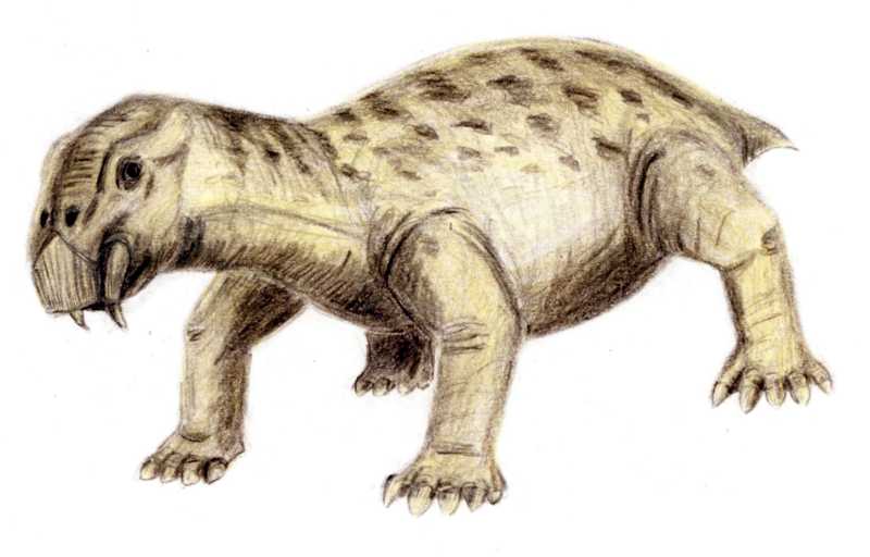 Life reconstruction of Lystrosaurus, the most successful land vertebrate of the Early Triassic