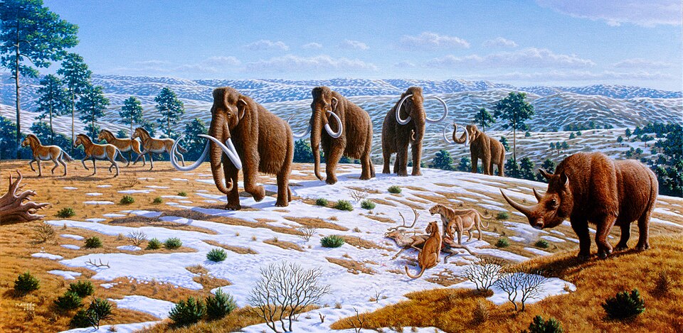 Ice Age fauna scene showing mammoths alongside woolly rhinoceros and other Pleistocene megafauna