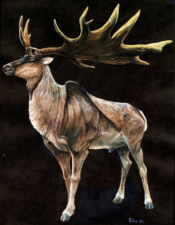 Life restoration of Megaloceros giganteus with a pale coat, dark back stripe and broad palmate antlers