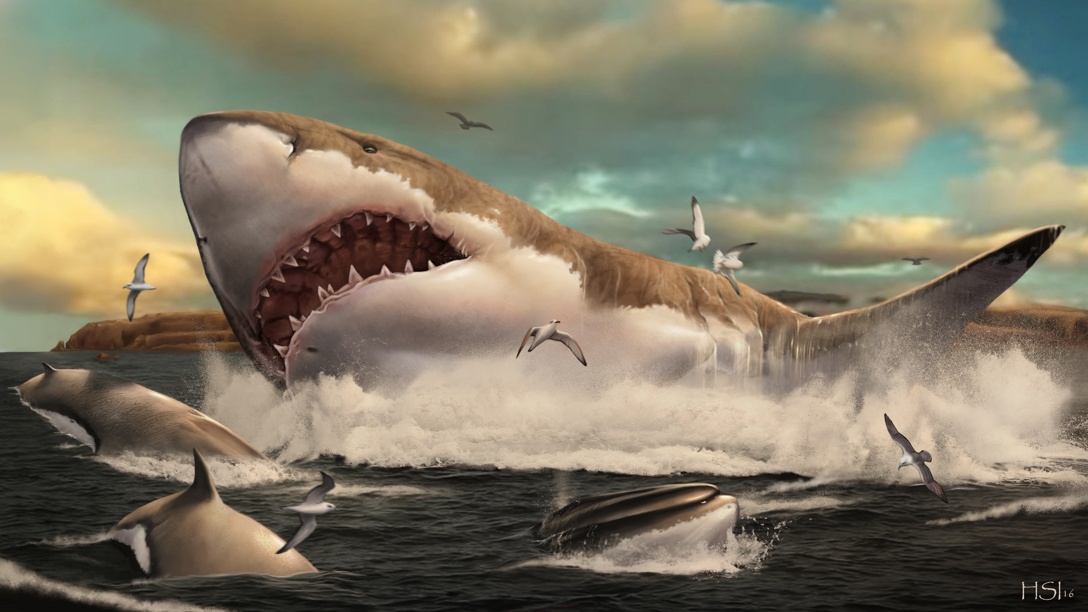 Artistic reconstruction of Otodus megalodon swimming through ancient seas with a seal prey visible