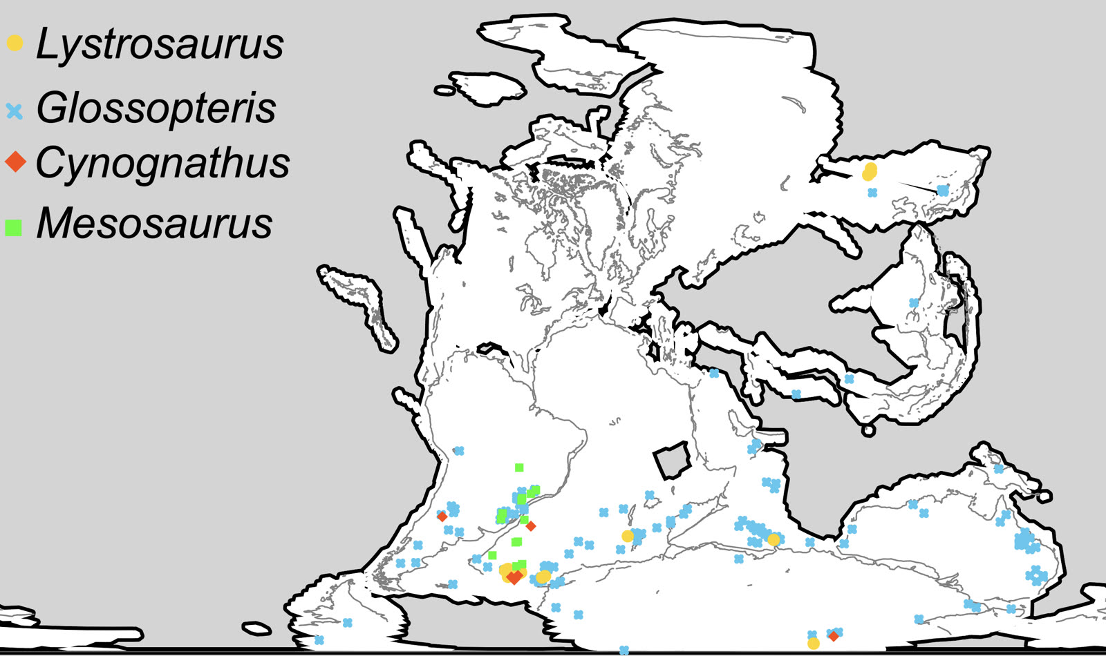Map showing Mesosaurus fossil localities in South America and Africa fitted together in Gondwana