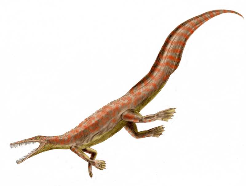 Life restoration of Mesosaurus, a slender Permian reptile with a long toothed snout and paddle-like feet