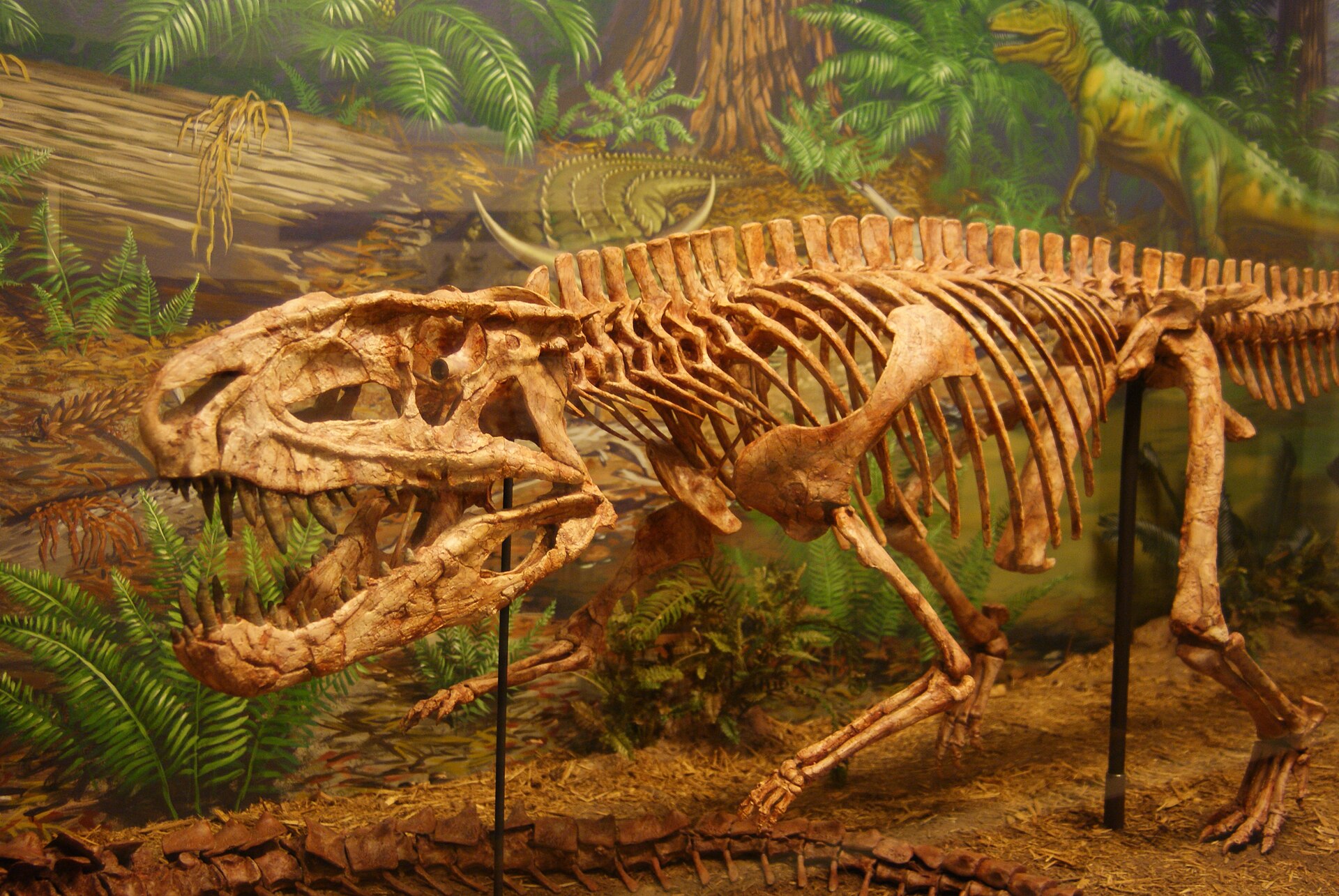 Mounted Postosuchus kirkpatricki skeleton at the Museum of Texas Tech University near Post, Texas