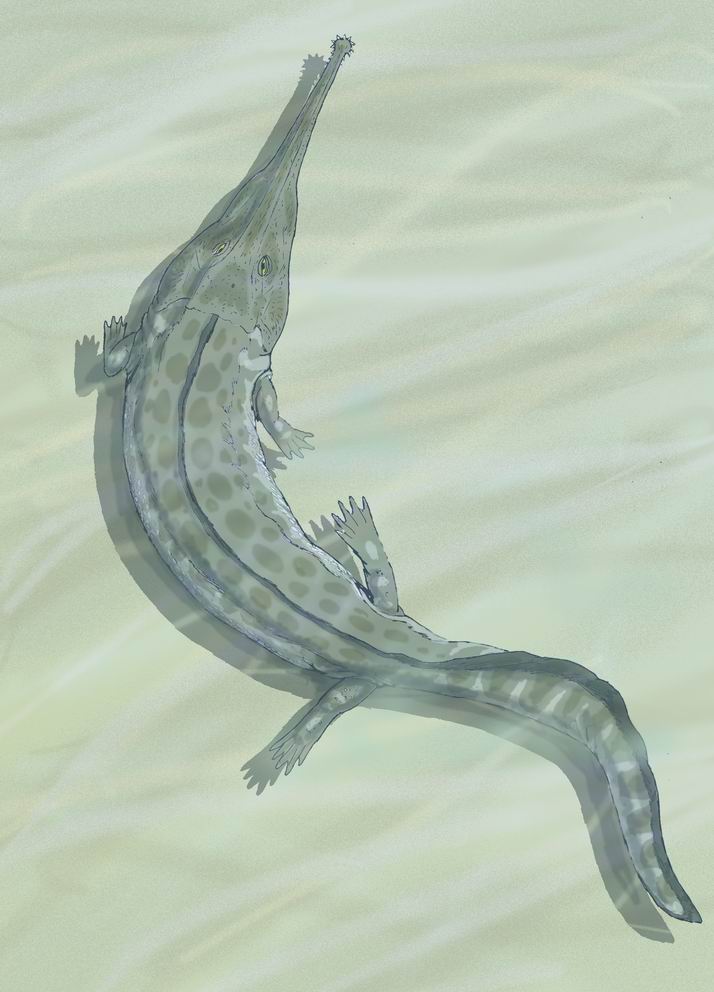 Life reconstruction of Prionosuchus, the largest known temnospondyl, reaching up to 9 meters in length