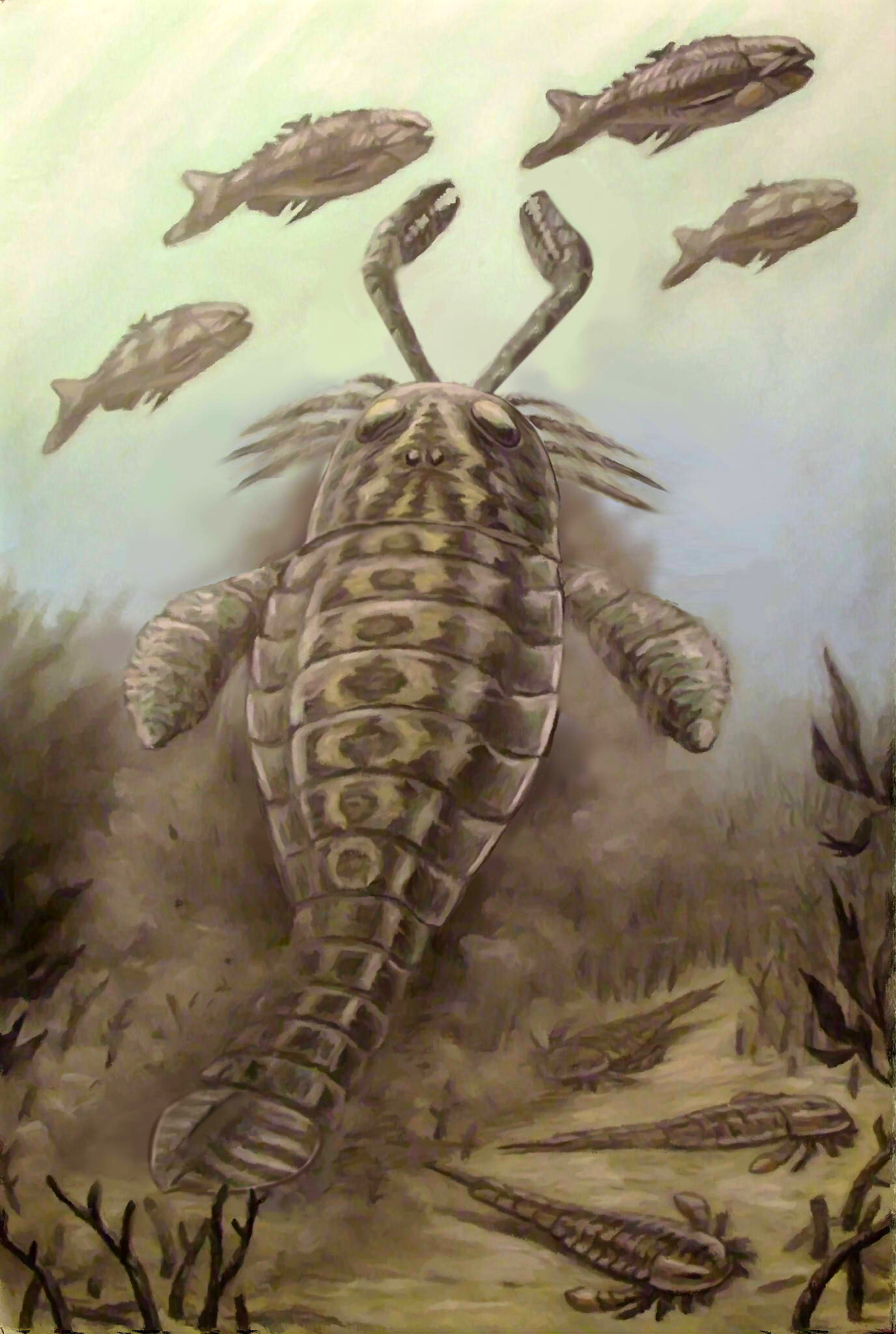 Artistic reconstruction of Pterygotus swimming through a Devonian sea with schools of fish and trilobites below