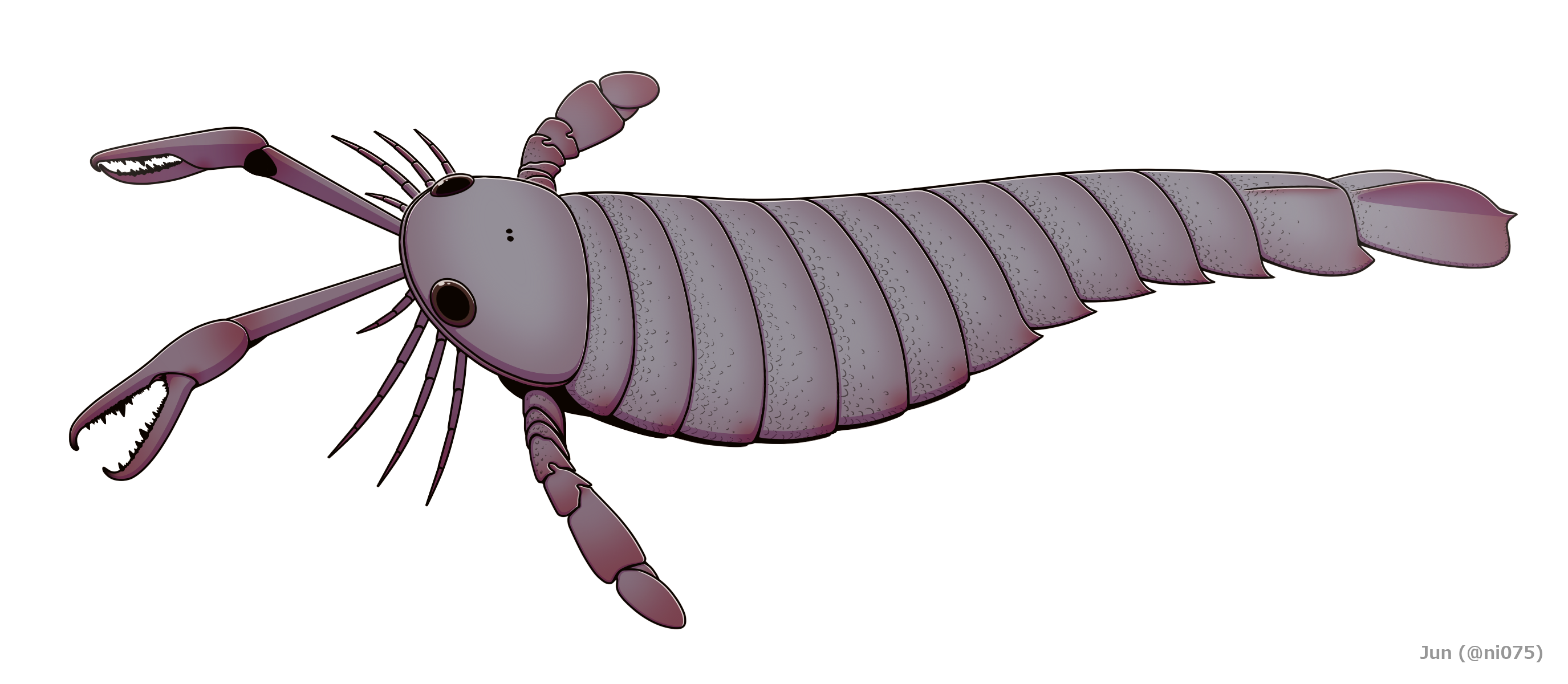 Pterygotus anglicus, giant sea scorpion of the Silurian
