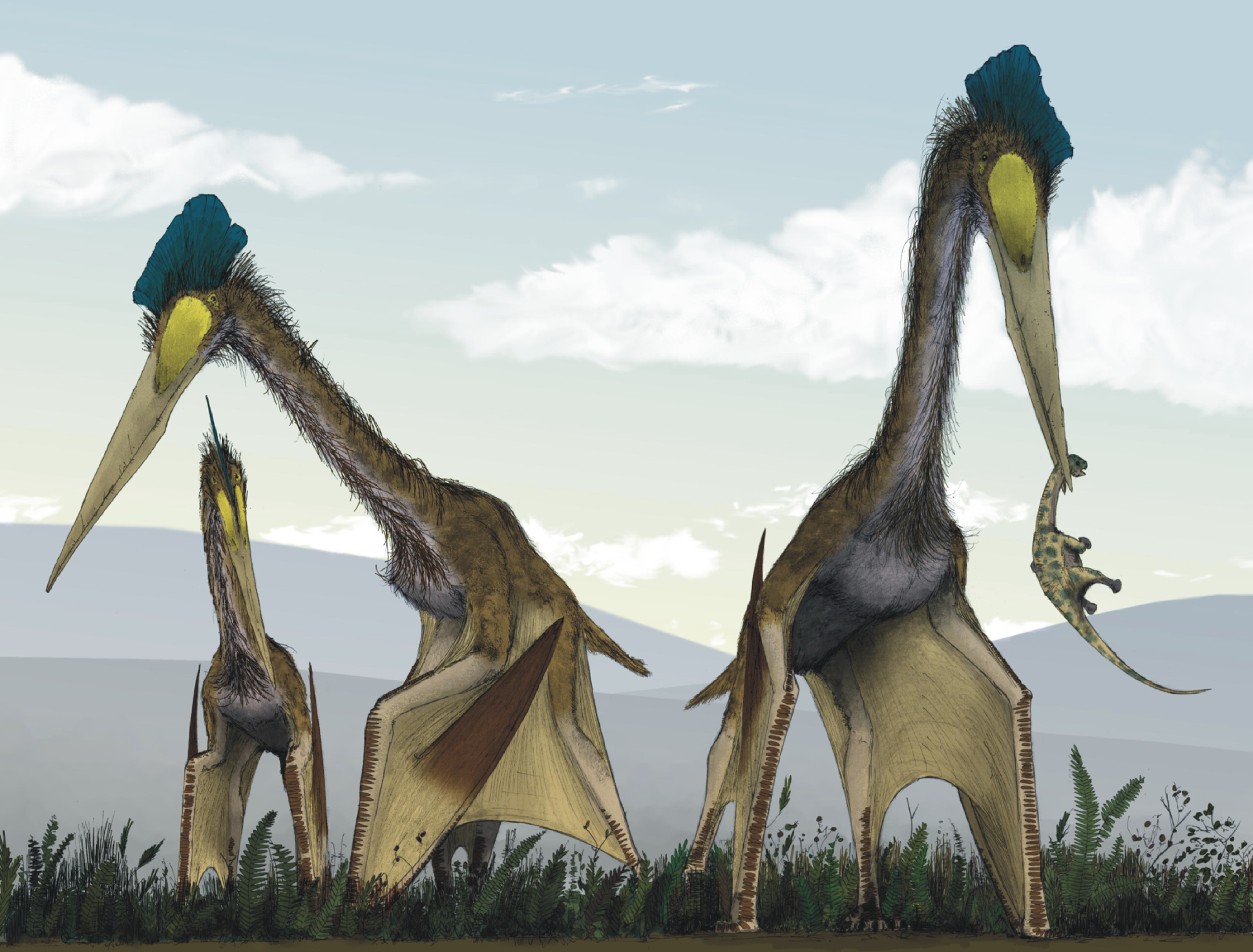 Quetzalcoatlus pterosaur