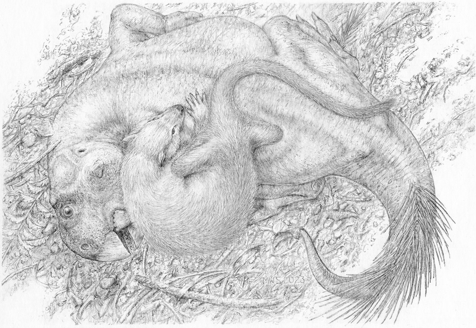 Life restoration of Repenomamus robustus grappling with an adult Psittacosaurus in a Cretaceous forest