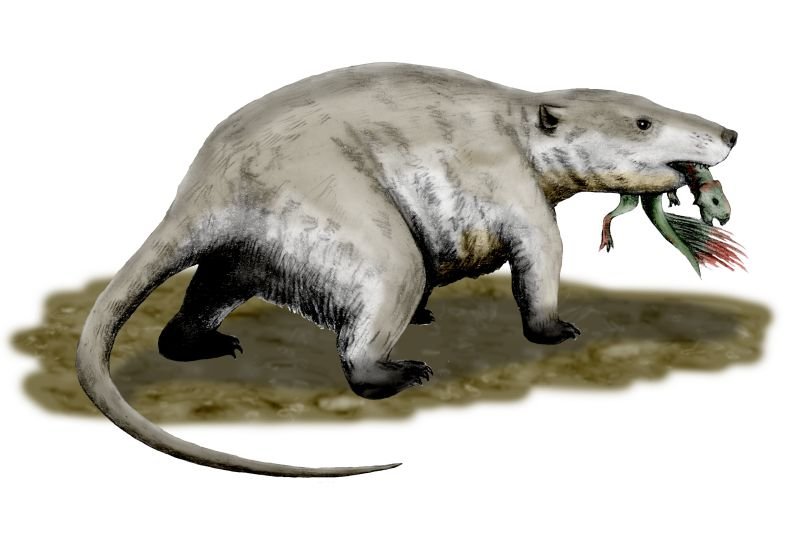 Repenomamus giganticus walking off with a small dinosaur hatchling clamped in its jaws