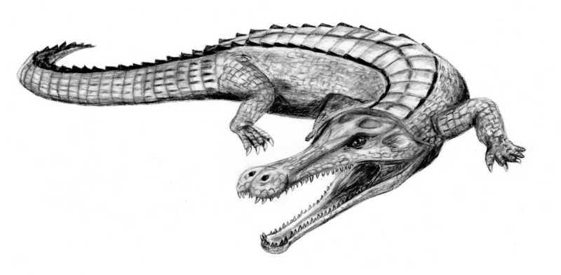 Life reconstruction of Sarcosuchus imperator, the giant Early Cretaceous crocodile relative