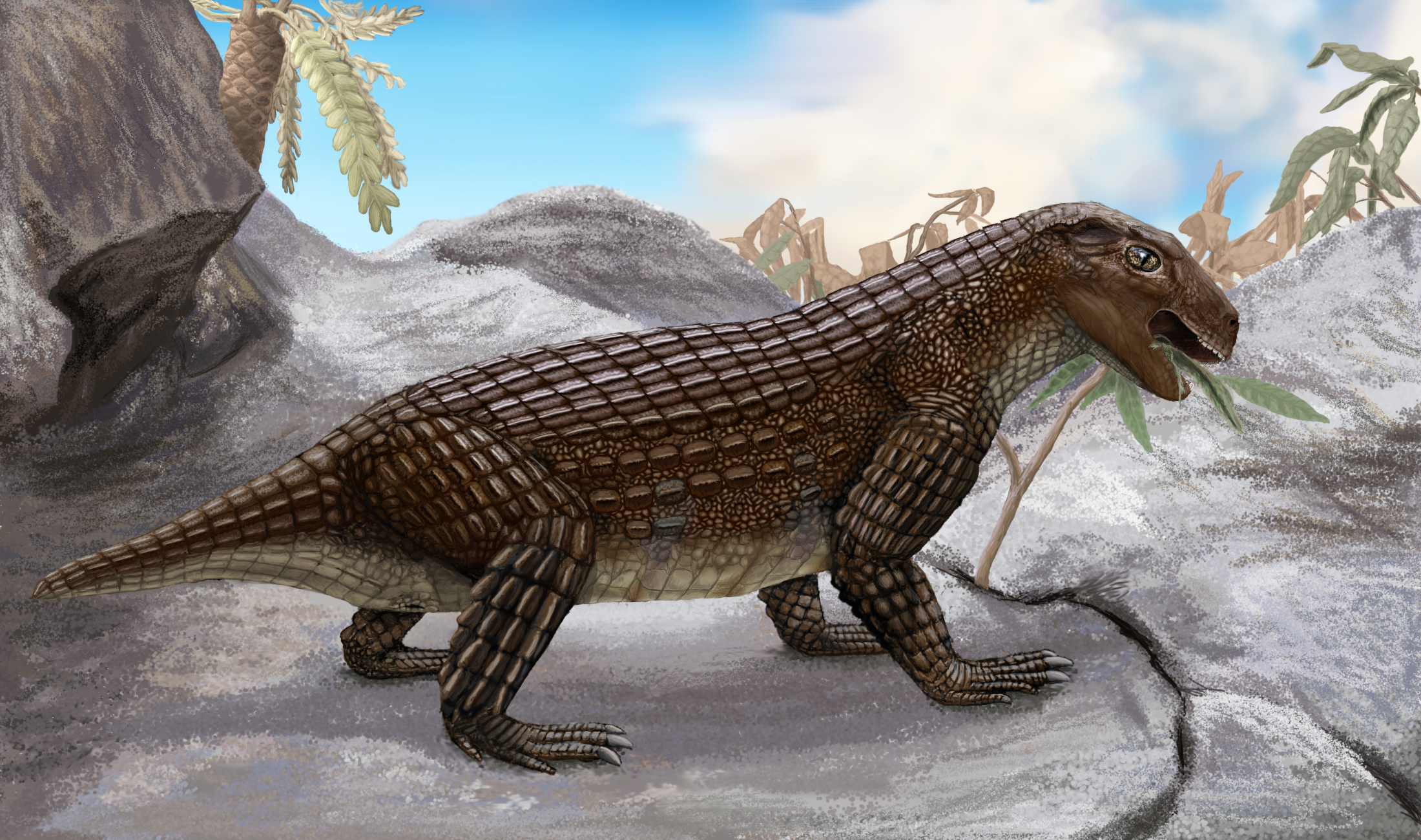 Life restoration of Simosuchus clarki, the small blunt-snouted armored crocodile of Madagascar