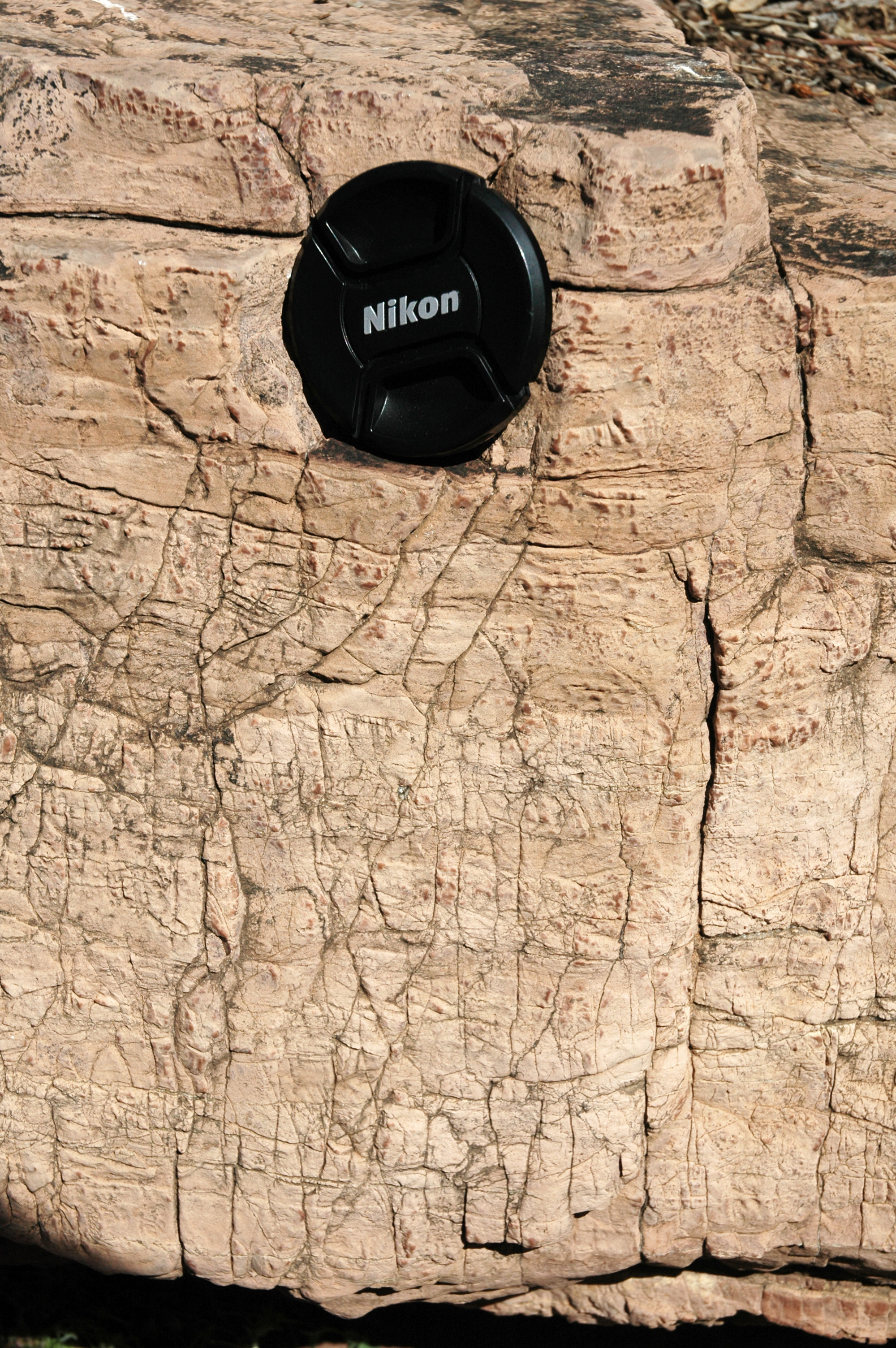 Pale cap carbonate of the Nuccaleena Formation in the Flinders Ranges, deposited right after the ice melted