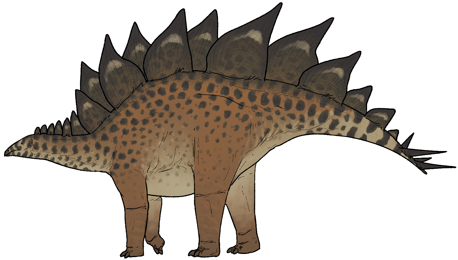 Life reconstruction of Stegosaurus stenops browsing low vegetation in the Late Jurassic