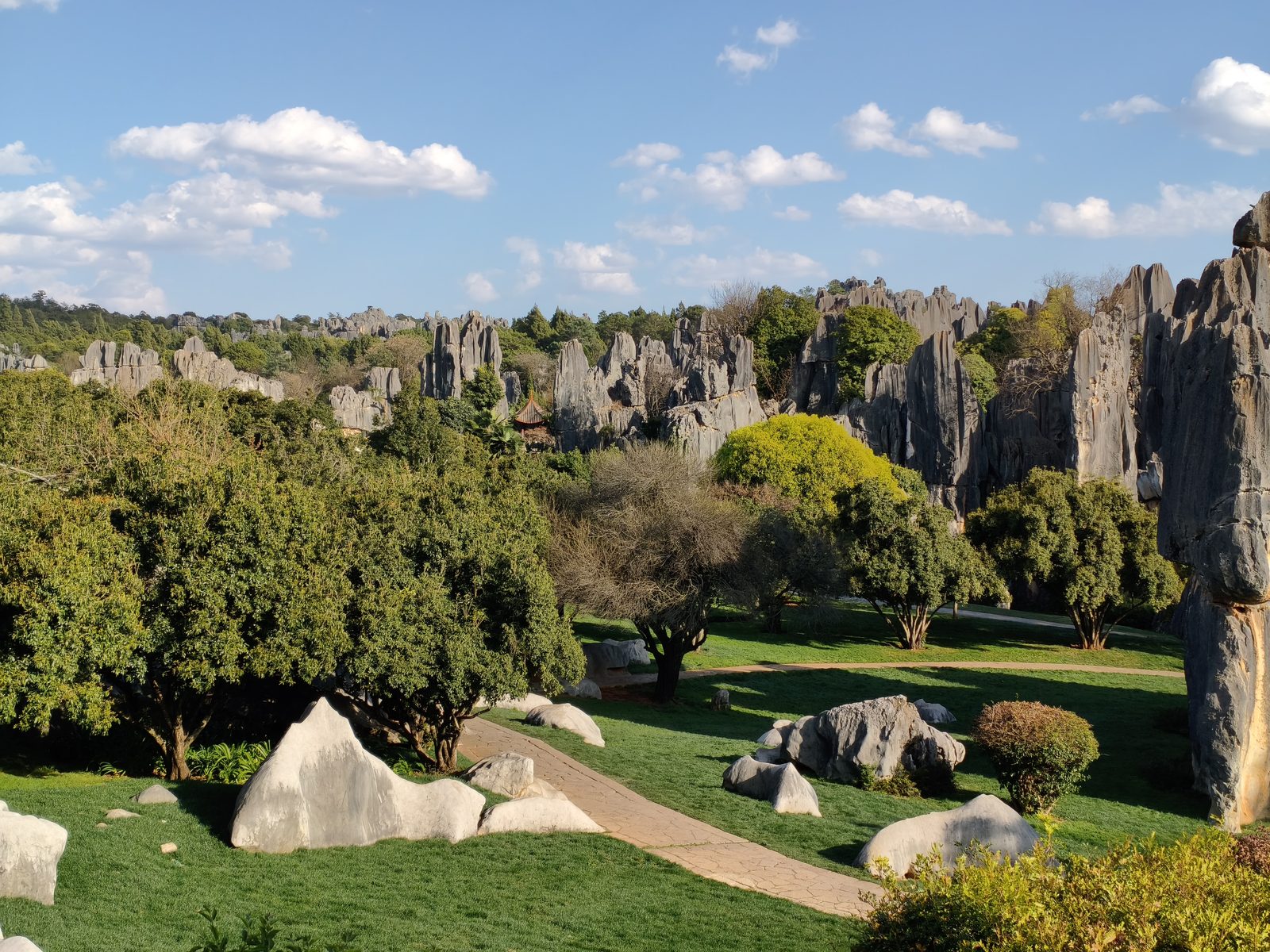 Limestone karst pillars of the Stone Forest in Yunnan, China, landscape shaped like the caves where Gigantopithecus fossils are found