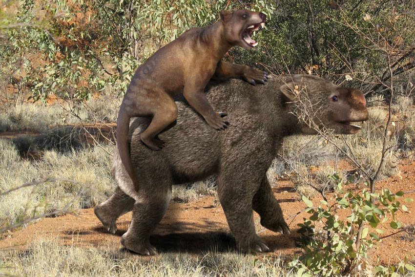 Life restoration of a marsupial lion leaping onto the back of a giant Diprotodon in the Australian outback