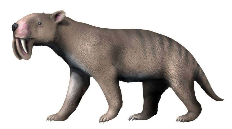 Life restoration of Thylacosmilus atrox, the sabertoothed metatherian from Pliocene South America