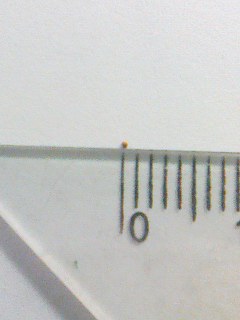 Triops eggs and cysts that survive years of drought in dry soil