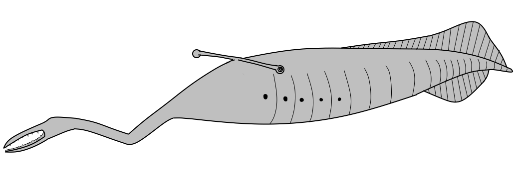 Tully monster reconstruction