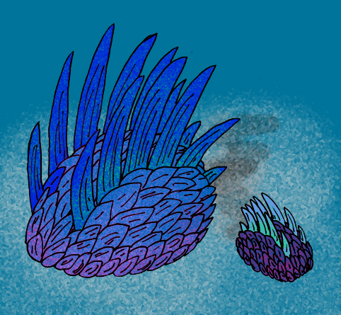 Wiwaxia fossil specimen